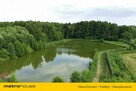 Działka 0,9 ha ze stawem – dobra inwestycja! - 4