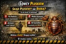 Łowcy Pluskiew profesjonalne usuwanie pluskiew - 5