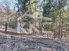 Zawoja-działka w górach, rekreacja, natura, rzeka! - 6