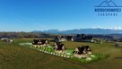 Działka budowlana Zakopane - 8
