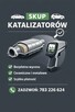 Skup katalizatorów
