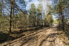 Działka 2000 m² Łoś k. Piaseczna - 13