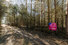 Działka 2000 m² Łoś k. Piaseczna - 14