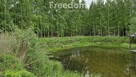 Działka ze stawem otoczona lasem Warmia Mazury - 5