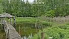 Działka ze stawem otoczona lasem Warmia Mazury - 7