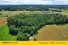70 letni Las 3000 m2 z dobrym dojazdem  Kukowo - 3