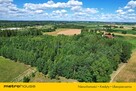 70 letni Las 3000 m2 z dobrym dojazdem  Kukowo - 4