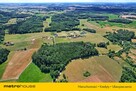 70 letni Las 3000 m2 z dobrym dojazdem  Kukowo - 6