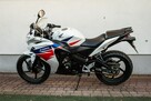 Honda CBR 125 2013 JC50   Raty Transport Największy Wybór Moto yzf 125 mt 125 - 5