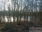Działka budowlana nad jeziorem w Maszewie - 5