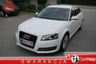 Audi A3 1.6mpi Gaz LPG Xenon Ledy Stan b.dobry bezwypadkowy Gwarancja 12mc - 2