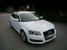 Audi A3 1.6mpi Gaz LPG Xenon Ledy Stan b.dobry bezwypadkowy Gwarancja 12mc - 3