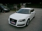 Audi A3 1.6mpi Gaz LPG Xenon Ledy Stan b.dobry bezwypadkowy Gwarancja 12mc - 4