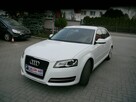 Audi A3 1.6mpi Gaz LPG Xenon Ledy Stan b.dobry bezwypadkowy Gwarancja 12mc - 8