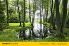 Unikatowa nieruchomość nad jeziorem Przerośl - 11