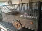 Sprzedam dwukółkę