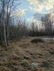 Działka rolna - 4