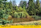 Duża działka(zabudowa zorganizowana) ze stawem. - 7