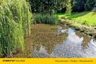 Duża działka(zabudowa zorganizowana) ze stawem. - 8