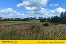 Na sprzedaż działka marzeń pod Skierniewicami - 1