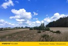 Na sprzedaż działka marzeń pod Skierniewicami - 2