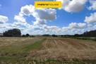Na sprzedaż działka marzeń pod Skierniewicami - 4
