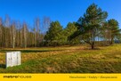 Sprzedam dużą działkę z WZ, Suliszew k.Skierniewic - 3