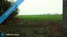 Działka siedliskowa z budynkiem. - 5