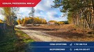 Produkcja, usługi, składy 9000m2 Przeszkoda, gm. Żabia Wola - 5