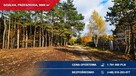 Produkcja, usługi, składy 9000m2 Przeszkoda, gm. Żabia Wola - 6