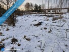 1000 m² Działki Budowlanej - 5