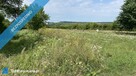 Piękna Działka na Wsi Okale k Kazimierz Dolnego - 5