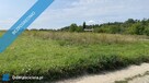 Piękna Działka na Wsi Okale k Kazimierz Dolnego - 6