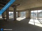 Wynajmę nowy lokal usługowy - 3
