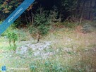 Działka udowlana w zagórniku - 6