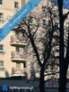 Sprzedam komfortowe 2 pokojowe Szczecin centrum - 13