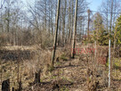 Działka budowlana Adamowizna gm. Grodzisk Mazowiecki, - 6