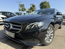 Mercedes E 220 Klimatronic 2-stref, Hak, Skóra, Podgrz. fotele, CarPlay/AndroidAuto - 2