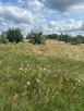 Działka budowlana Ceków-Kolonia - 3