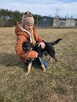 Loki- młody średniej wielkości poes do adopcji - 4