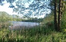 Grunt rolny z linia brzegowa jeziora Kosewskiego - 5