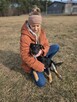 Loki- młody średniej wielkości poes do adopcji - 7