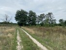Działka 1000m2 w pięknej i spokojnej okolicy - 4
