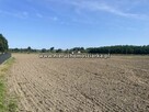 Działka budowlana Gorzyce - 2