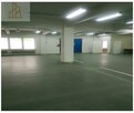Lokal użytkowy Warszawa Wola, Czyste - 2