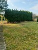 Sprzedam działkę rekreacyjną w Kutnie ROD Grunwald.Polecam!! - 2