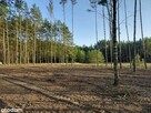 Rogóźno 1261m2 piękna działka blisko rzeki i lasu - 3