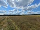 Działka rekreacyjna Kluczewsko Stanowiska - 10