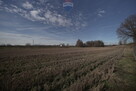 Działka budowlana 918 m² – Malec k. Kęt - 14