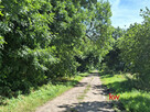 Działka budowlana Murzynowo gm. Skwierzyna, - 5